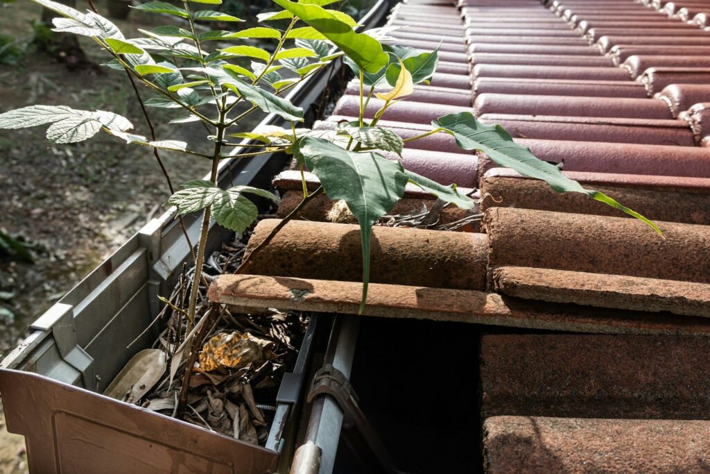 Queens Roofers Roof Gutters