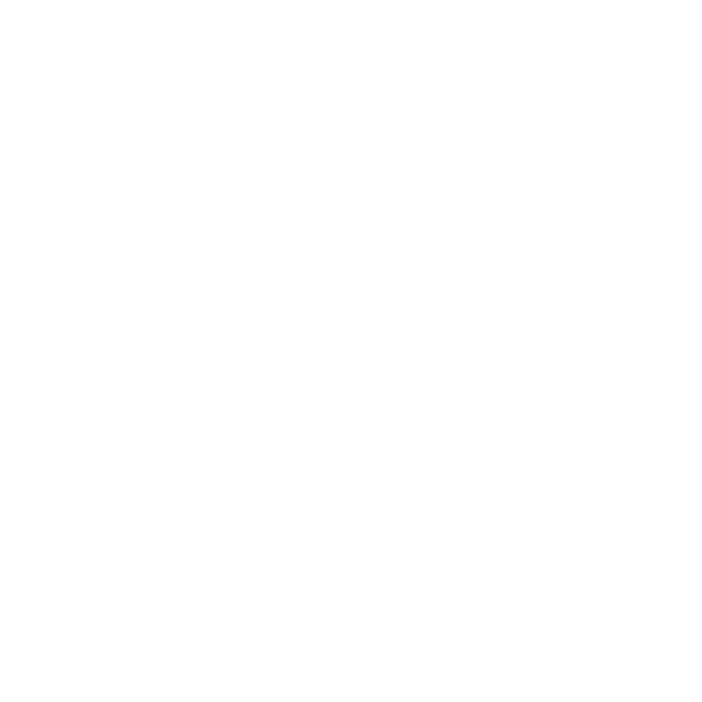 Queens Roofers Queens Roofing Company