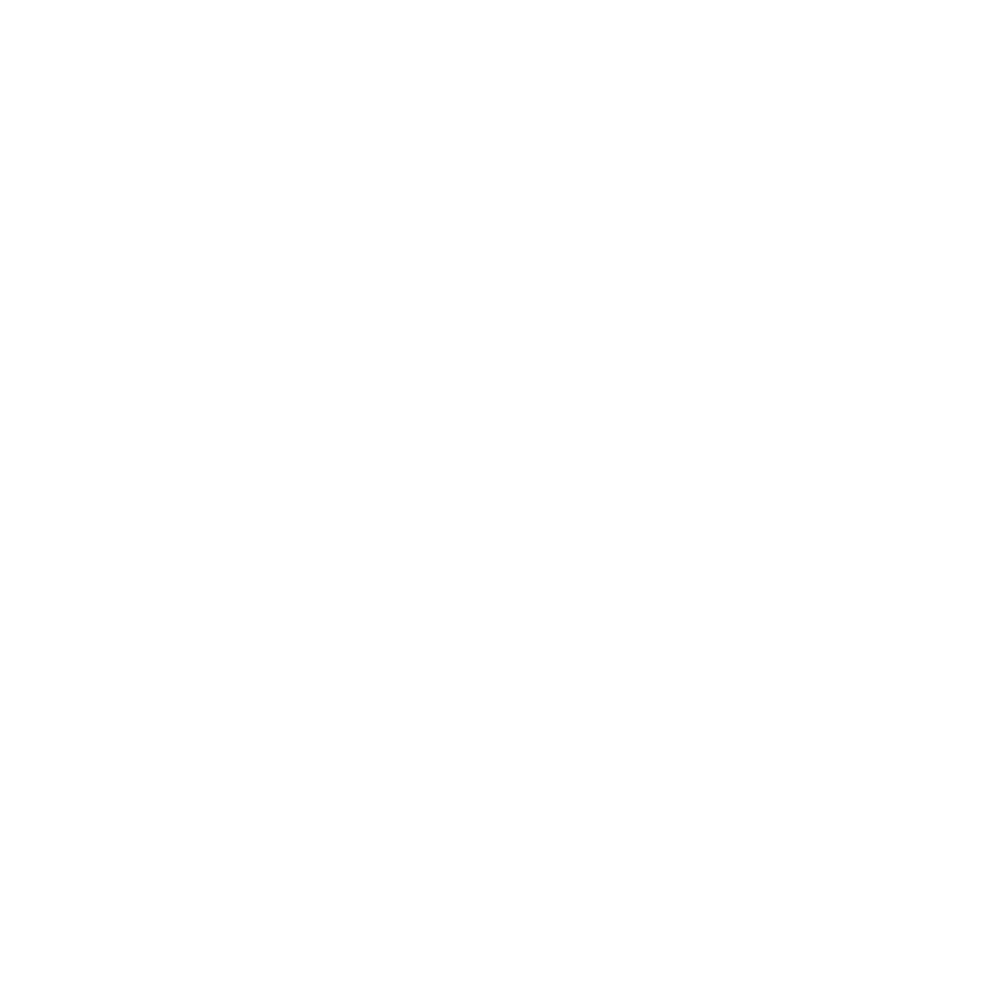 Queens Roofers Queens Roofing Company